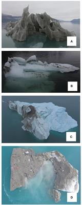 Retrieval of Ice Samples Using the Ice Drone